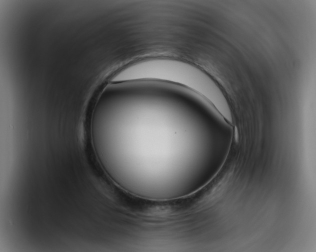 X0000094360252200711162056