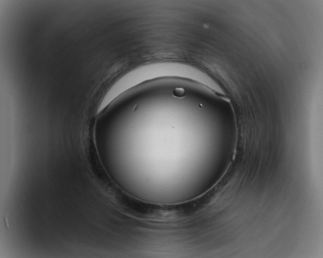 X0000094360260200711162056