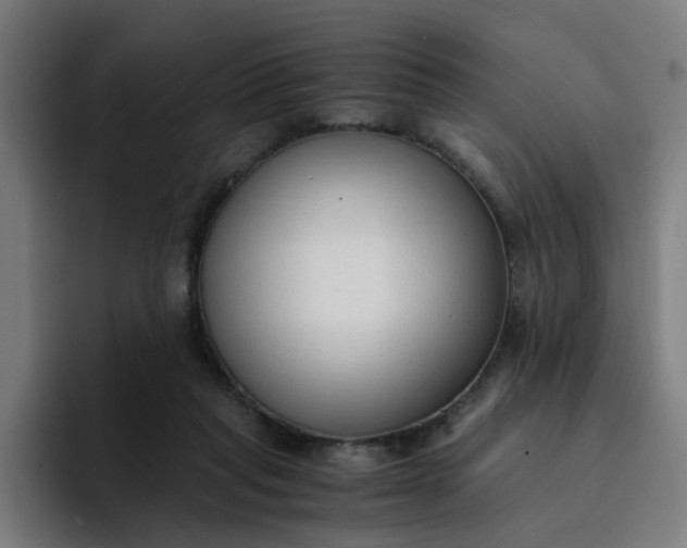 X0000094360261200711162056