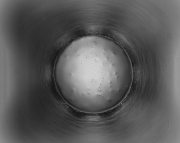 X0000094360266200711162056