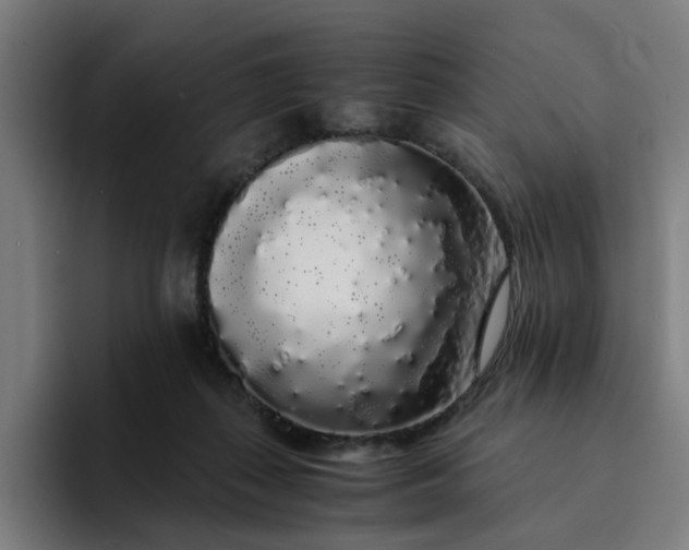 X0000094360267200711162056