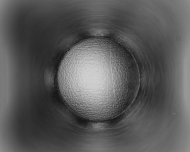 X0000094360268200711162056