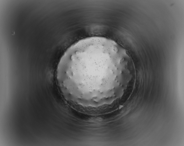 X0000094360271200711162056