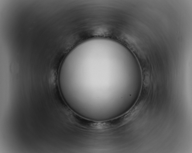 X0000094360273200711162056