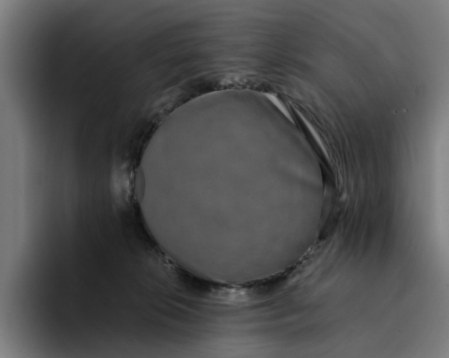 X0000094360276200711162056