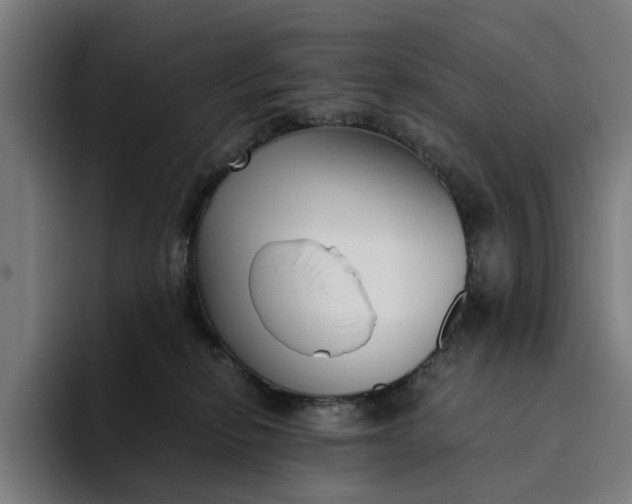 X0000094360278200711162056