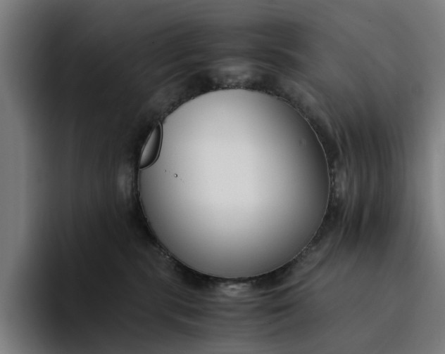 X0000094360283200711162056