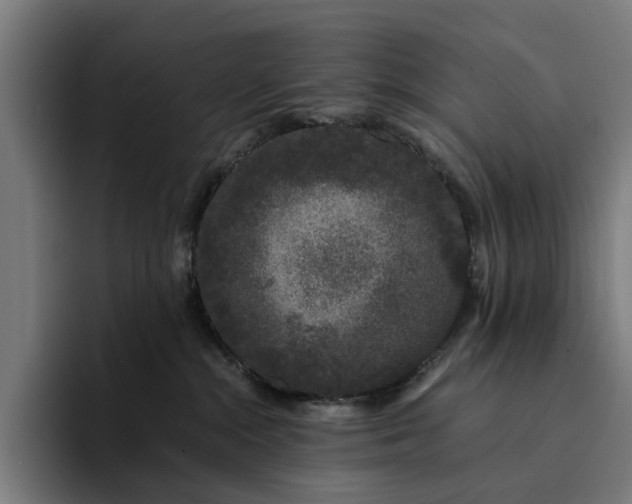 X0000094360284200711162056