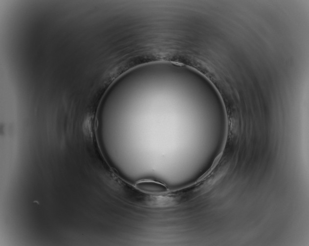 X0000094360286200711162056