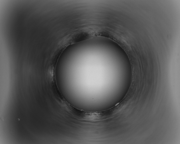 X0000094360288200711162056