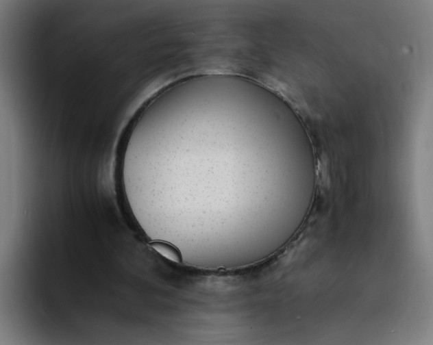 X0000094360292200711162056