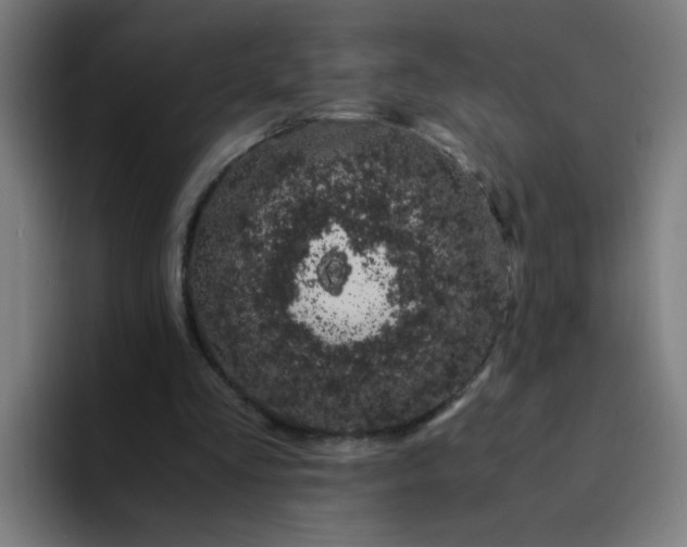 X0000094360293200711162056