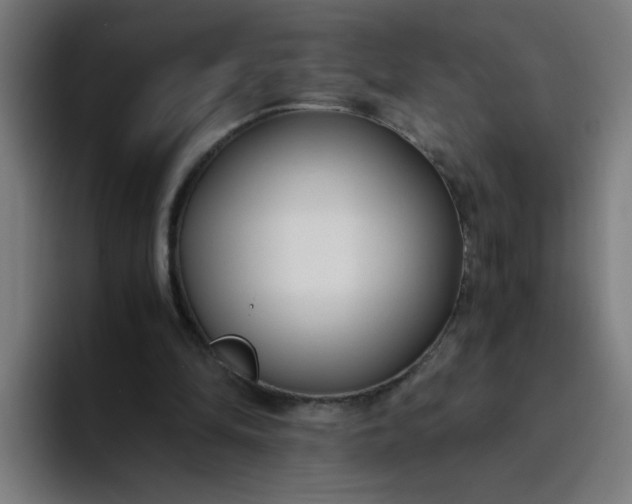 X0000094360294200711162056