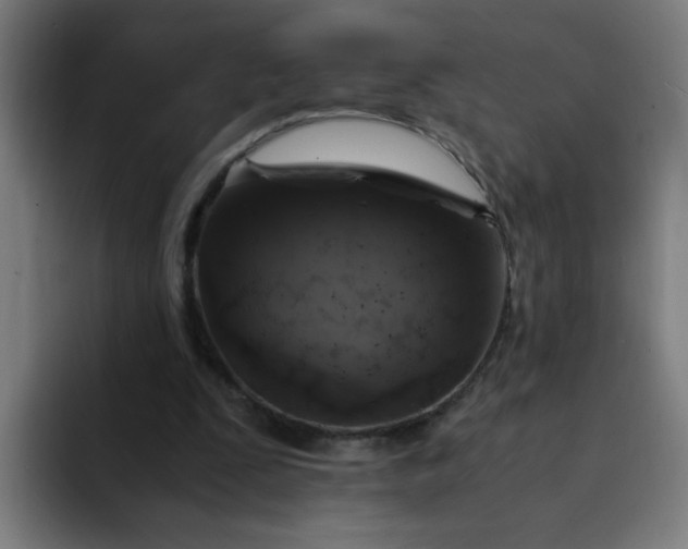 X0000094360295200711162056