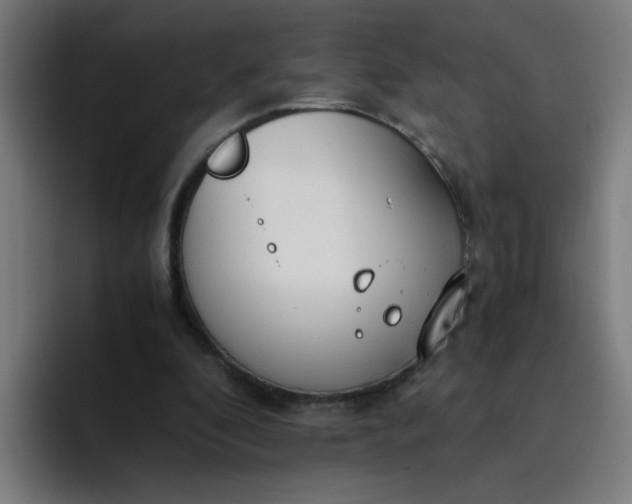 X0000094360296200711162056