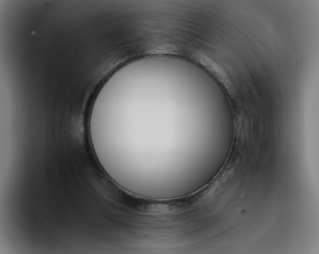 X0000094360298200711162056