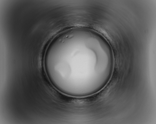 X0000094360299200711162056