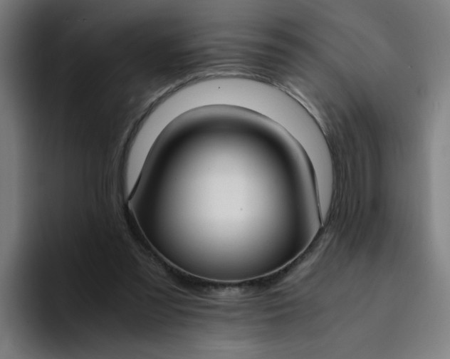 X0000094360301200711162056