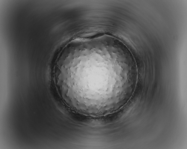 X0000094360303200711162056