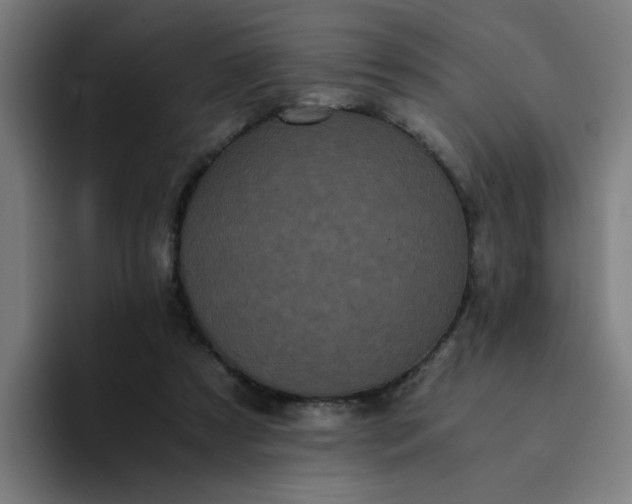 X0000094360305200711162056