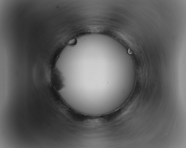 X0000094360307200711162056