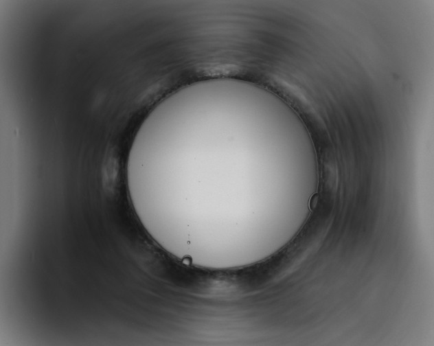 X0000094360308200711162056