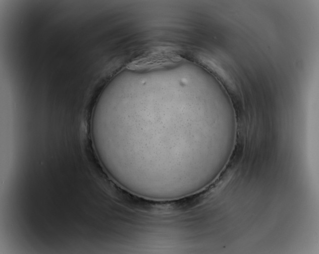 X0000094360309200711162056