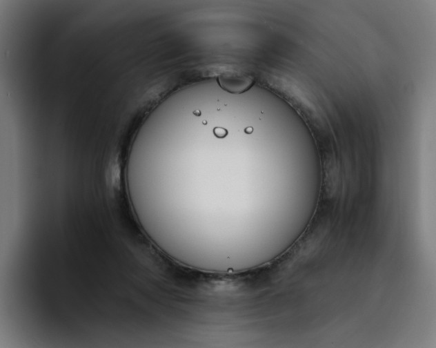 X0000094360310200711162055