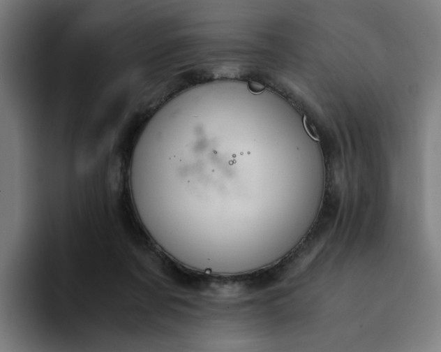 X0000094360311200711162055