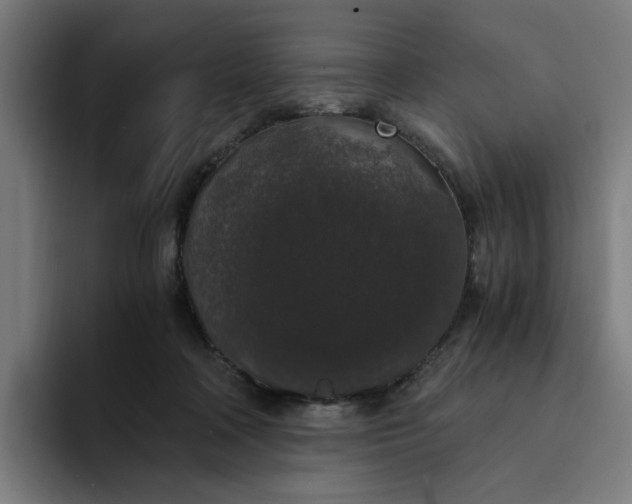 X0000094360314200711162055