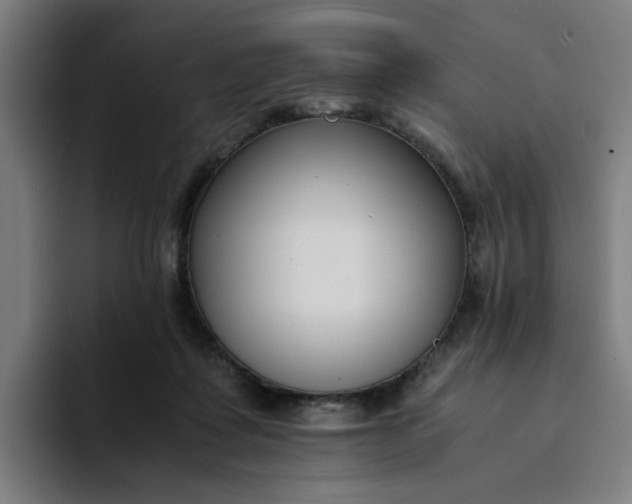 X0000094360315200711162055