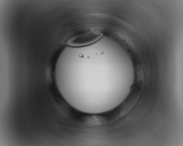 X0000094360316200711162055