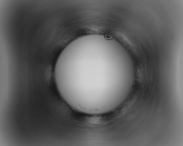 X0000094360318200711162055