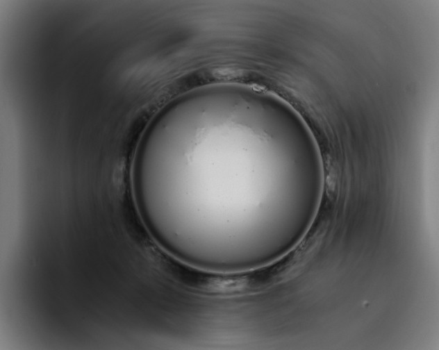 X0000094360319200711162055