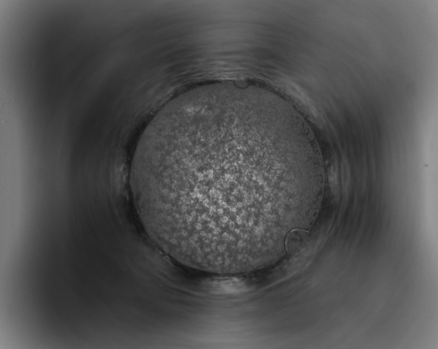 X0000094360322200711162055