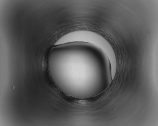 X0000094360324200711162055