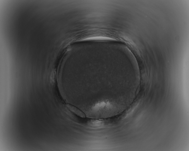 X0000094360325200711162055