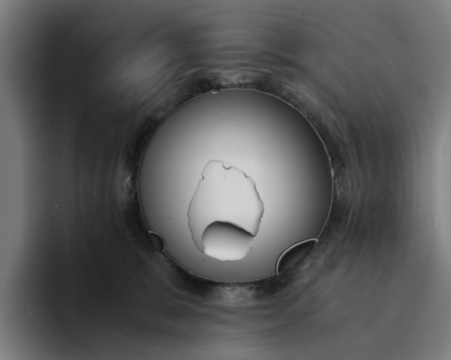 X0000094360327200711162055