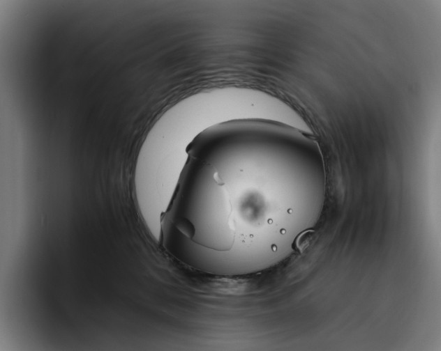 X0000094360328200711162055