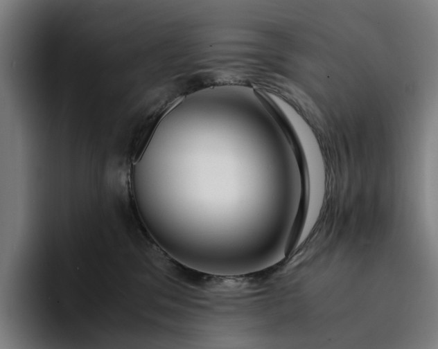 X0000094360329200711162055