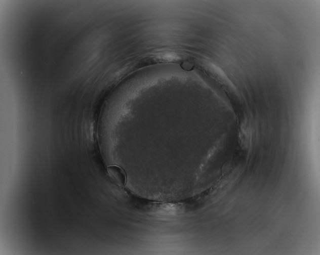 X0000094360330200711162055