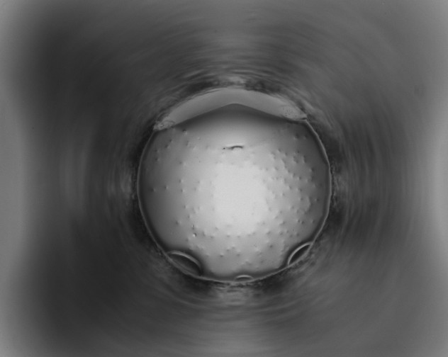 X0000094360331200711162055