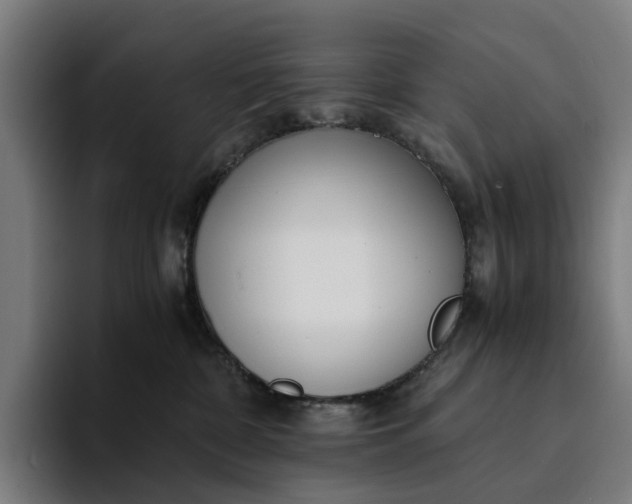 X0000094360332200711162055