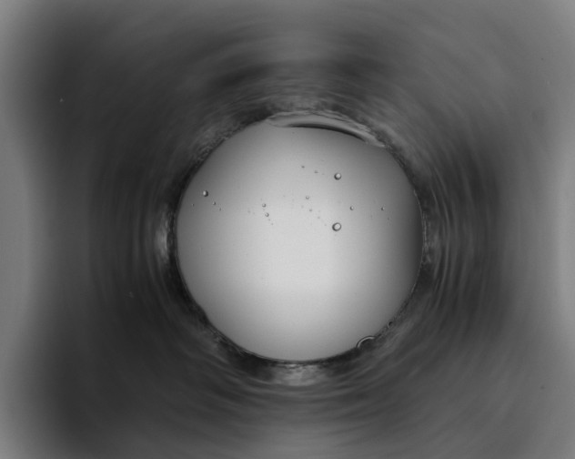 X0000094360334200711162055