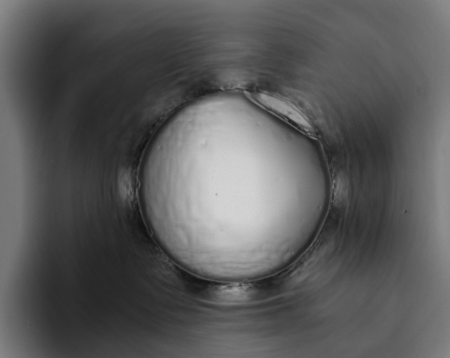 X0000094360335200711162055