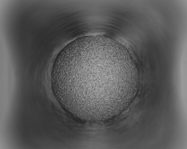 X0000094360337200711162055