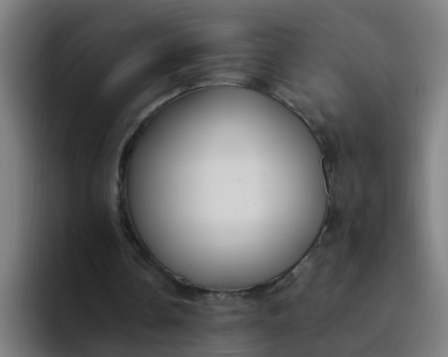 X0000094360338200711162055