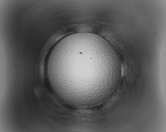 X0000094360339200711162055