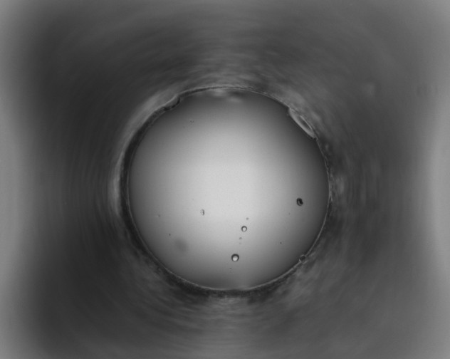 X0000094360340200711162055