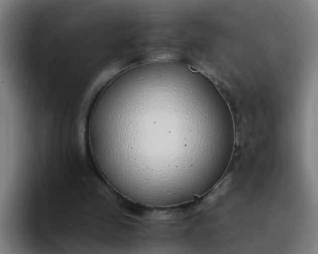 X0000094360341200711162055